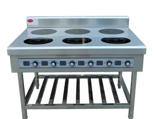 Compare Specific Commercial Induction Stove Models